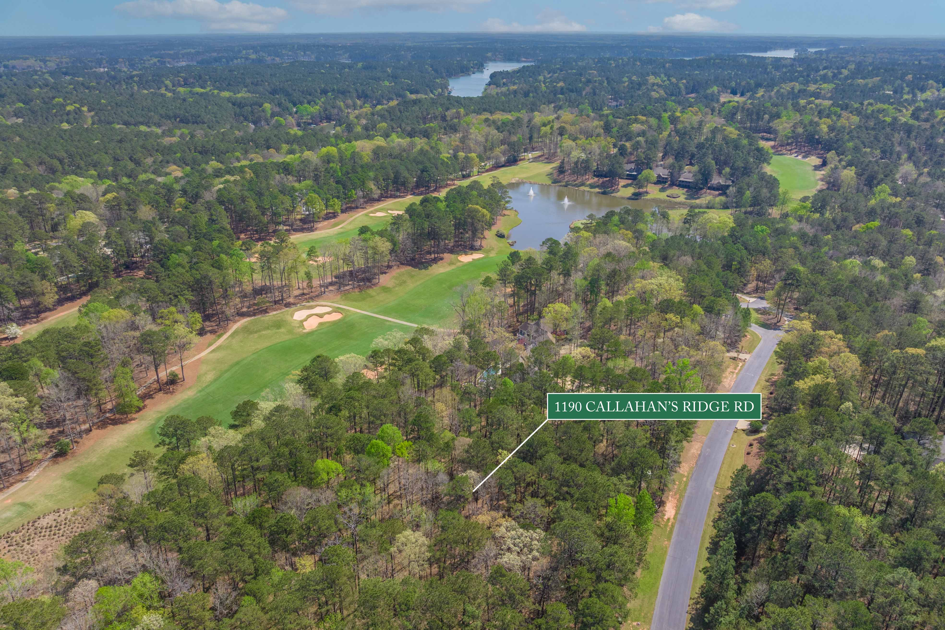 1190 Callahan's Ridge Road image 24